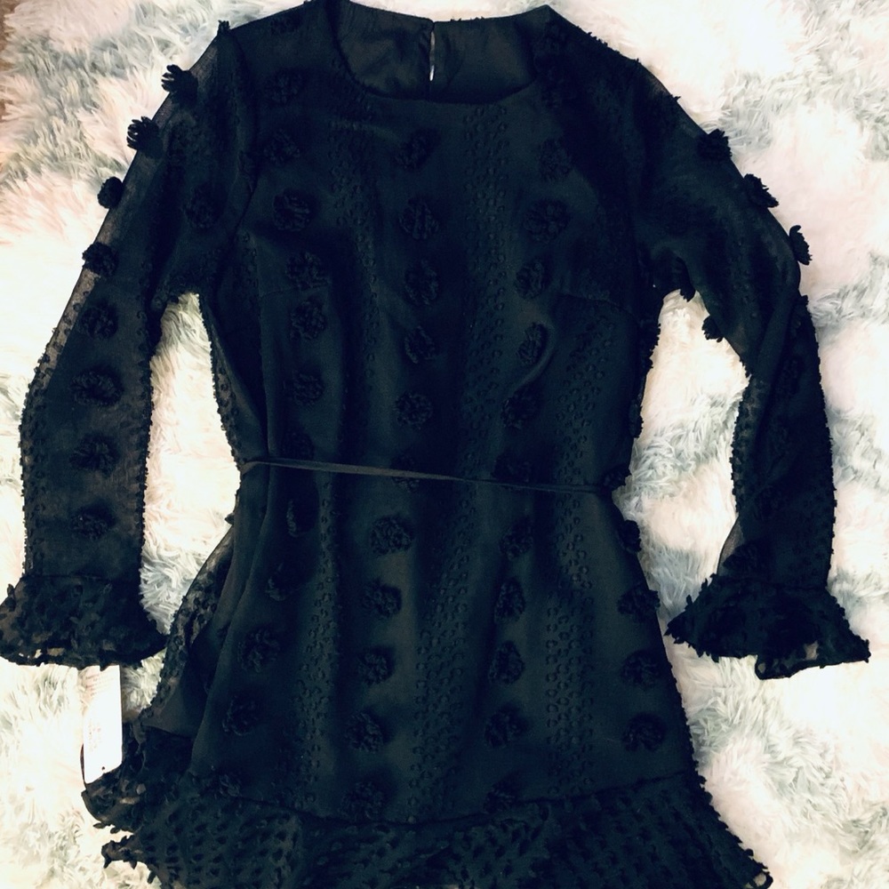 LBSD (Little black sheer Dress)